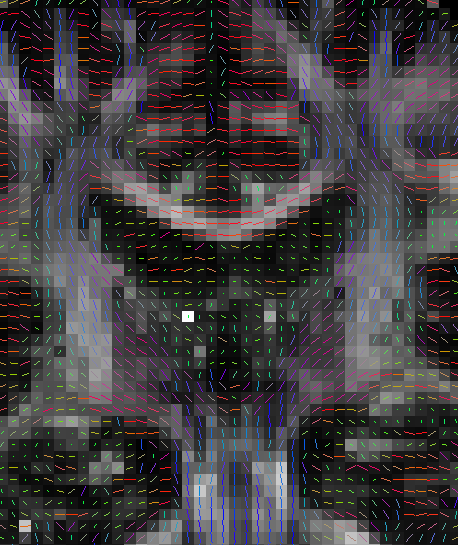 _images/overlays_linevector1.png