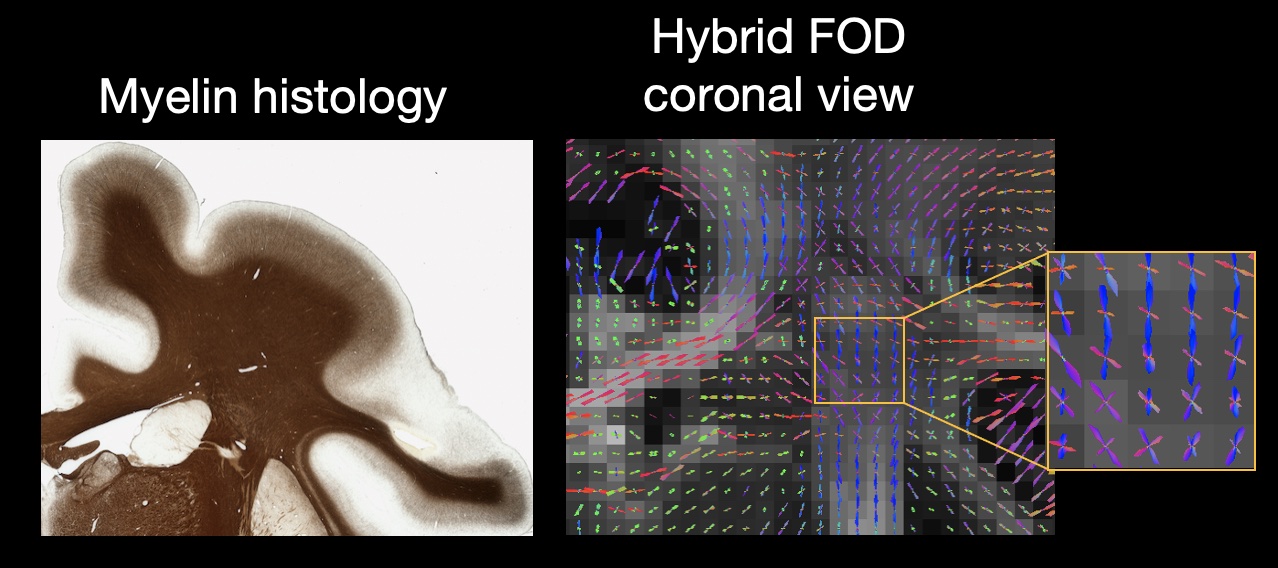 _images/fig10.jpg