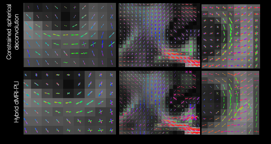 _images/fig7.jpg